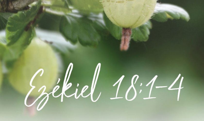 Ezékiel 18:1-4. – Herjeczky Géza