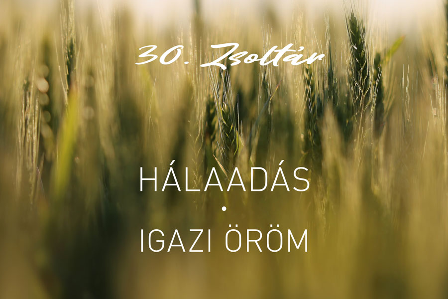 Zsoltárok 30. – Kübler János
