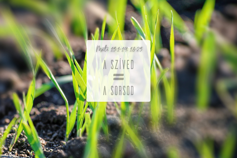 Heizer Tamás – Máté 13:1-9, 18-23