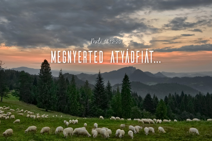 Heizer Tamás – Máté 18:15-17