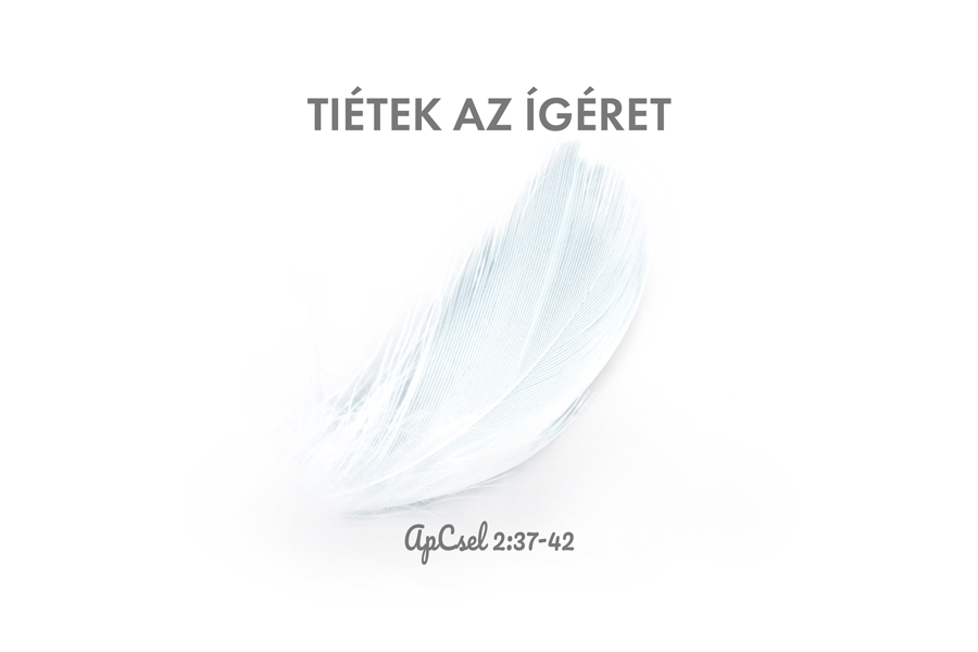 Kübler János – Apcsel. 2:37-42