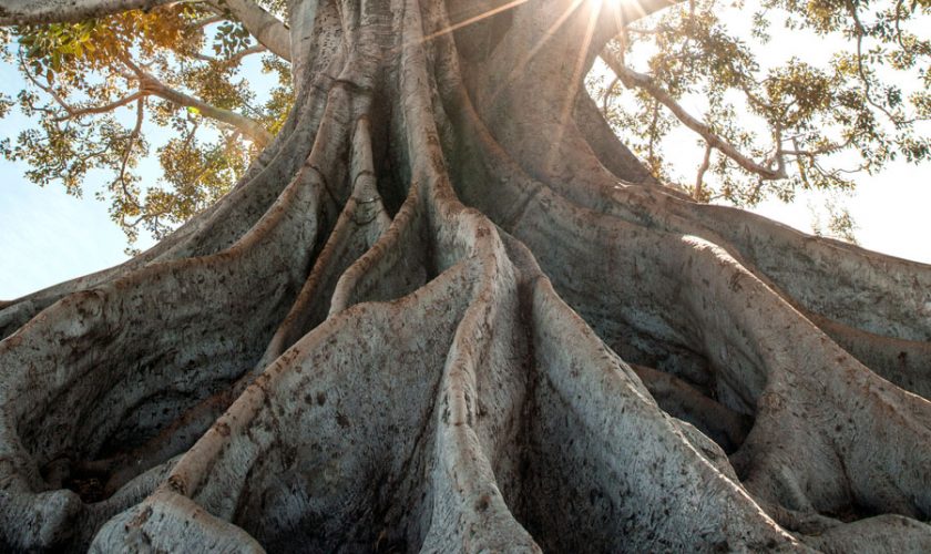 Imaáhítat 2021. június 13.