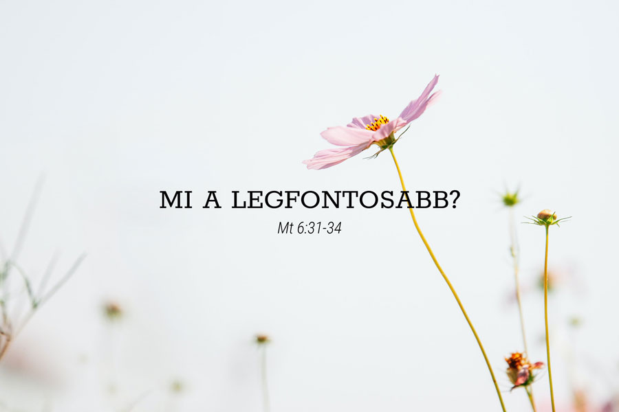 Kübler János – Máté 6:31-34
