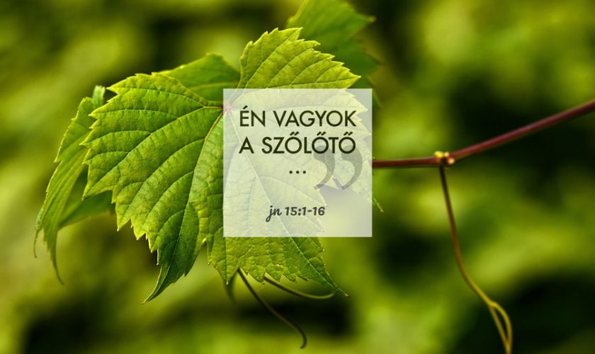 Kübler János – János 15:1-16