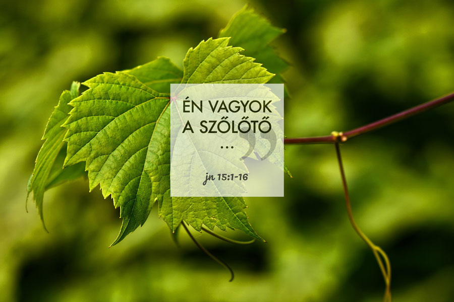 Kübler János – János 15:1-16
