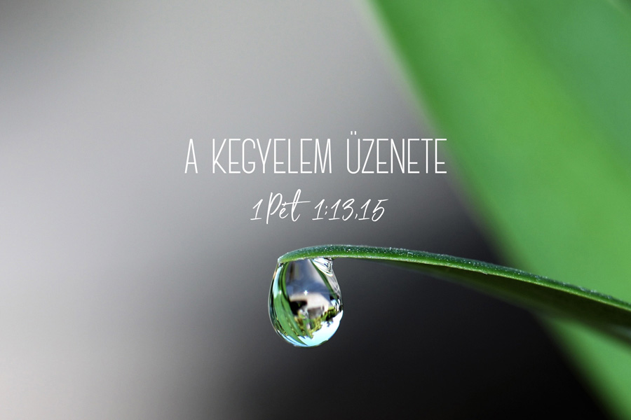 Steve Olsen – 1 Péter 1:13,15