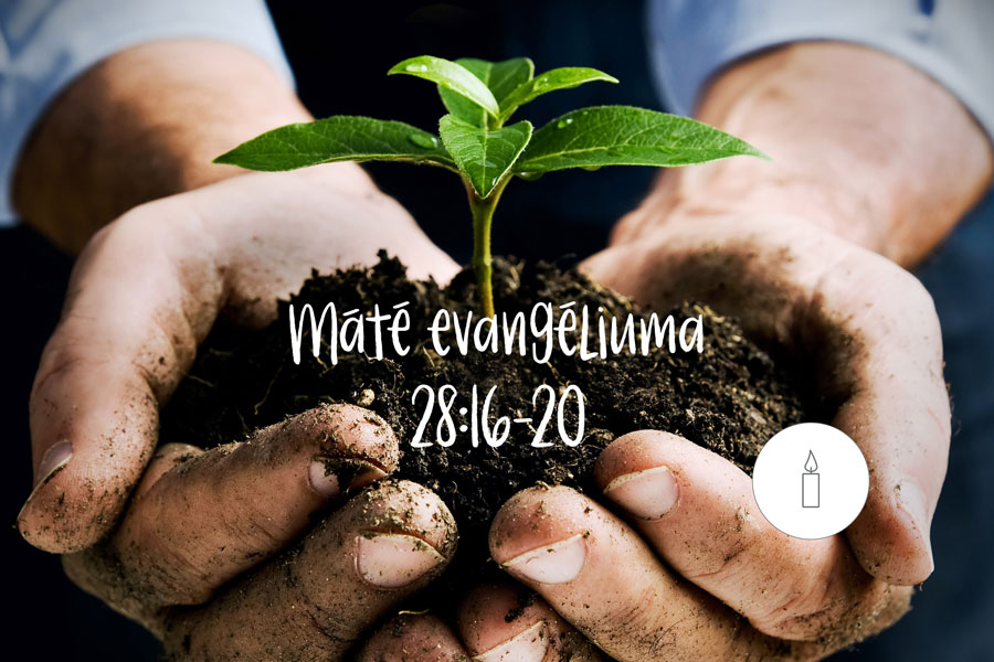 David Steele – Máté 28:16-20