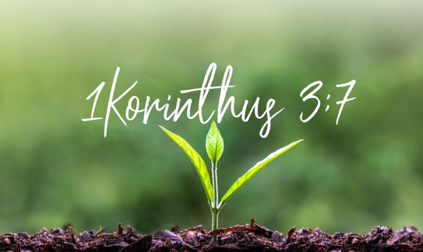 Kübler János – I. Korintus 3:1-7