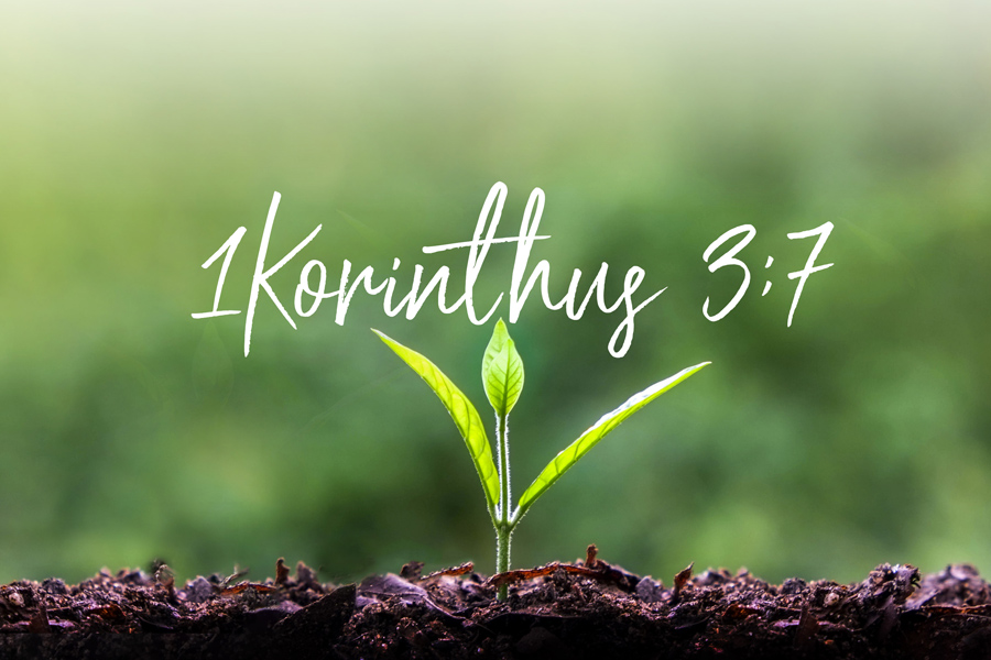 Kübler János – I. Korintus 3:1-7