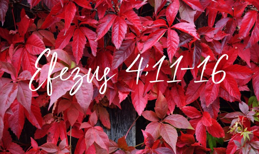 Kübler János – Efezus 4:11-16