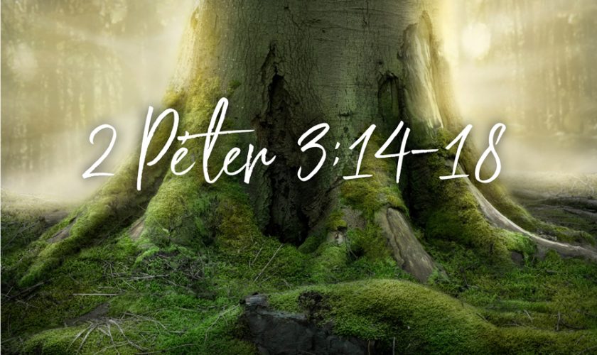 Marton Zsolt – II. Péter 3:14-18