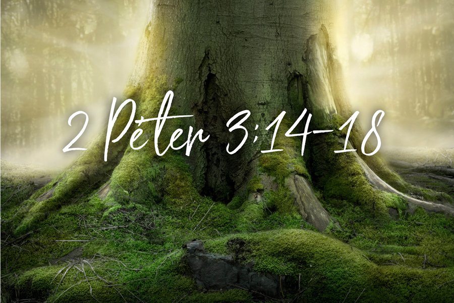 Marton Zsolt – II. Péter 3:14-18