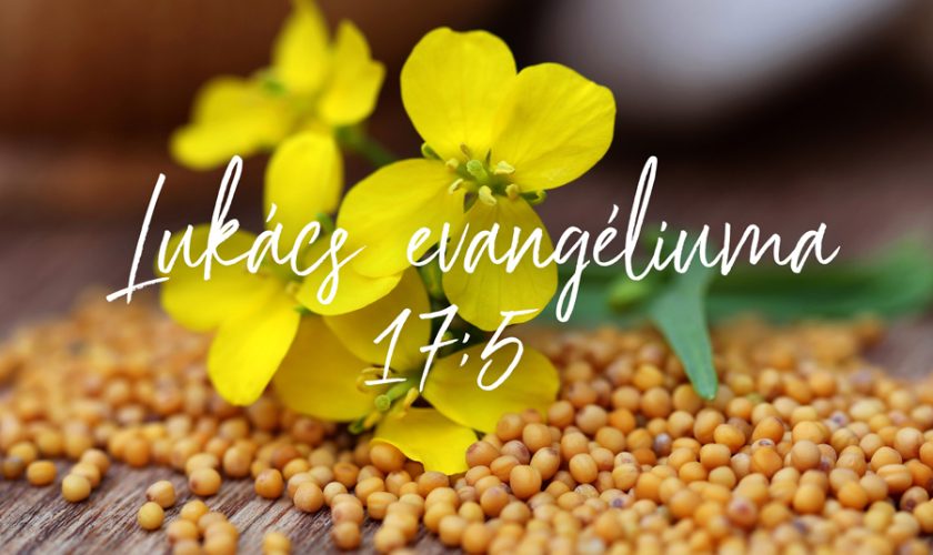 Kübler János – Lukács  17:1-5