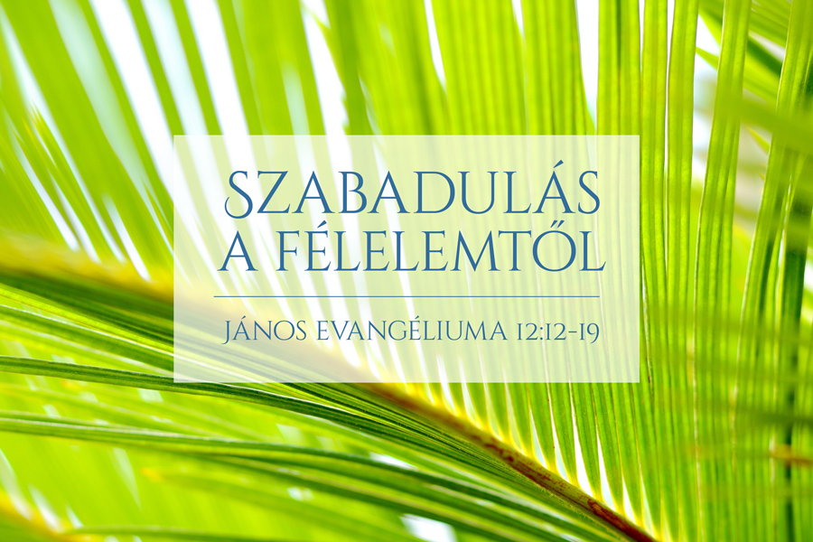 Kübler János – Szabadulás a félelemtől (János 12:12-19)