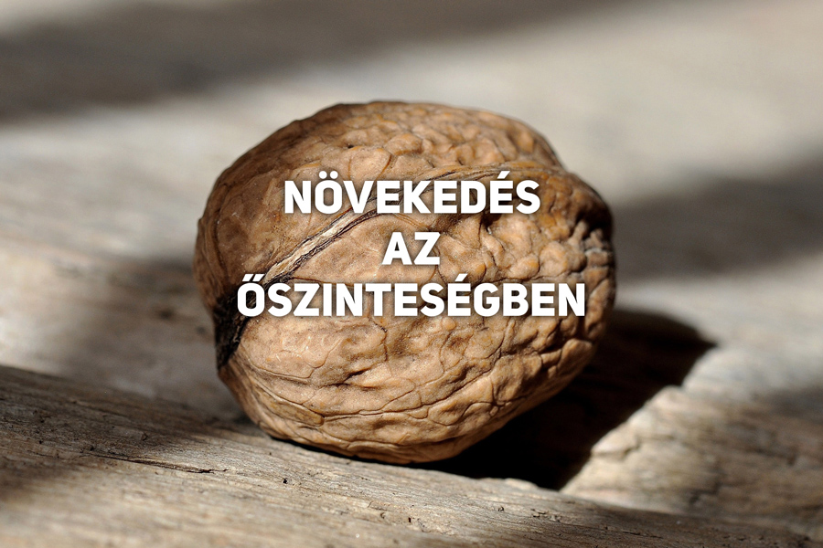 Kübler János – Róma 7:18-25, Zsoltárok 51:1-4 14