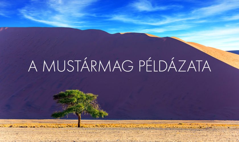 Marton Zsolt – Máté 13:31-32