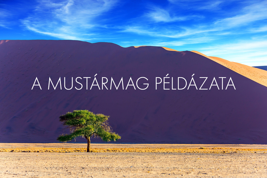 Marton Zsolt – Máté 13:31-32