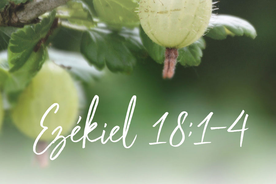 Ezékiel 18:1-4. – Herjeczky Géza